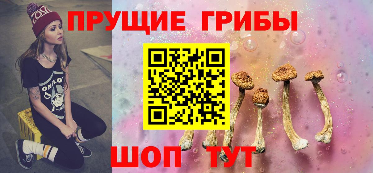 как найти закладки  Вход с VPN  Калуга  Псилоцибиновые грибы MAGIC MUSHROOMS 